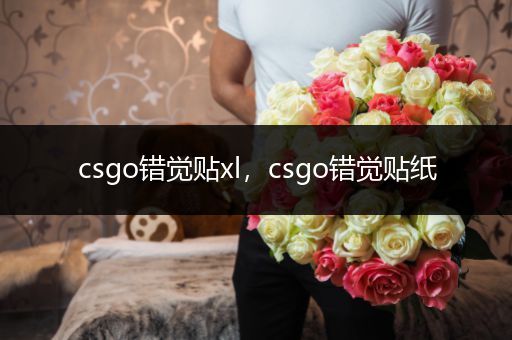 csgo错觉贴xl，csgo错觉贴纸
