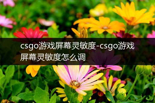csgo游戏屏幕灵敏度-csgo游戏屏幕灵敏度怎么调