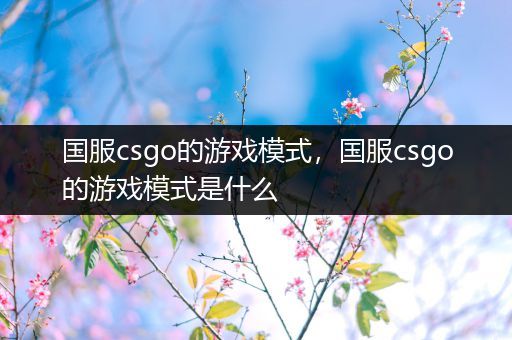 国服csgo的游戏模式，国服csgo的游戏模式是什么