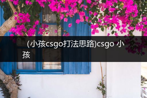 （小孩csgo打法思路)csgo 小孩