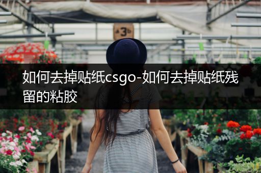如何去掉贴纸csgo-如何去掉贴纸残留的粘胶