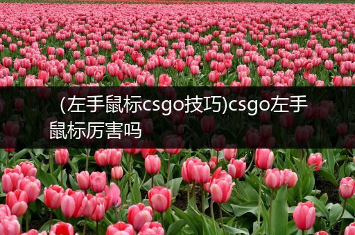 （左手鼠标csgo技巧)csgo左手鼠标厉害吗