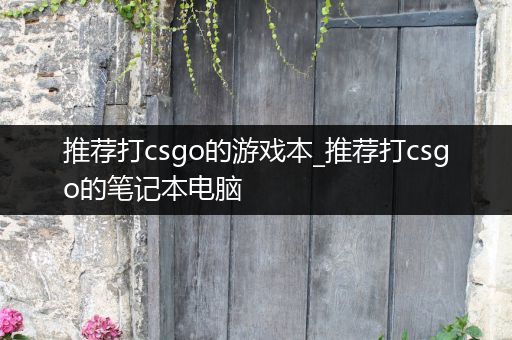 推荐打csgo的游戏本_推荐打csgo的笔记本电脑