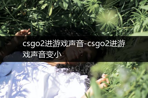 csgo2进游戏声音-csgo2进游戏声音变小
