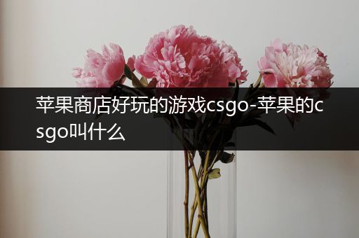 苹果商店好玩的游戏csgo-苹果的csgo叫什么