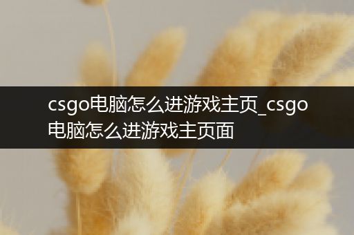 csgo电脑怎么进游戏主页_csgo电脑怎么进游戏主页面