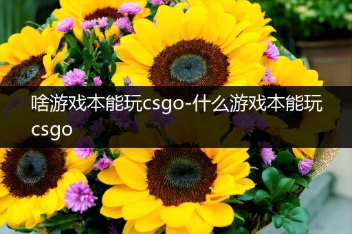 啥游戏本能玩csgo-什么游戏本能玩csgo