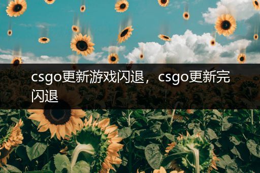 csgo更新游戏闪退，csgo更新完闪退