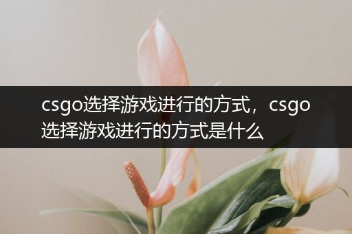 csgo选择游戏进行的方式，csgo选择游戏进行的方式是什么