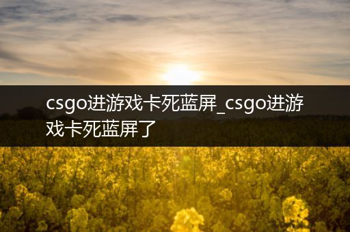 csgo进游戏卡死蓝屏_csgo进游戏卡死蓝屏了