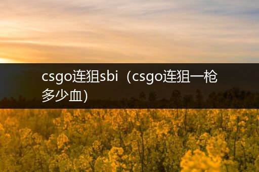 csgo连狙sbi（csgo连狙一枪多少血）