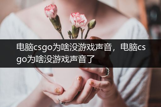 电脑csgo为啥没游戏声音，电脑csgo为啥没游戏声音了