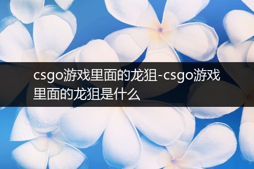csgo游戏里面的龙狙-csgo游戏里面的龙狙是什么