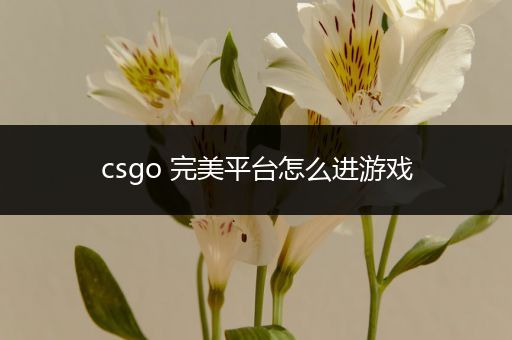 csgo 完美平台怎么进游戏