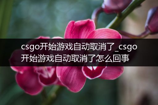 csgo开始游戏自动取消了_csgo开始游戏自动取消了怎么回事