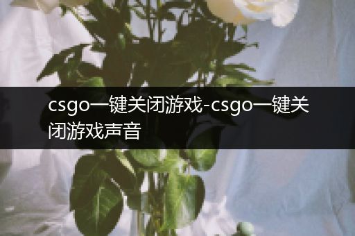 csgo一键关闭游戏-csgo一键关闭游戏声音