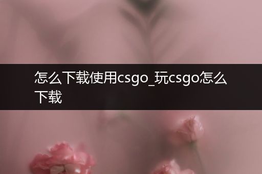 怎么下载使用csgo_玩csgo怎么下载