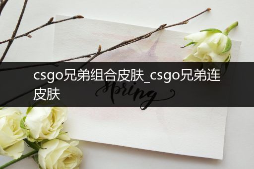 csgo兄弟组合皮肤_csgo兄弟连皮肤