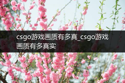 csgo游戏画质有多真_csgo游戏画质有多真实