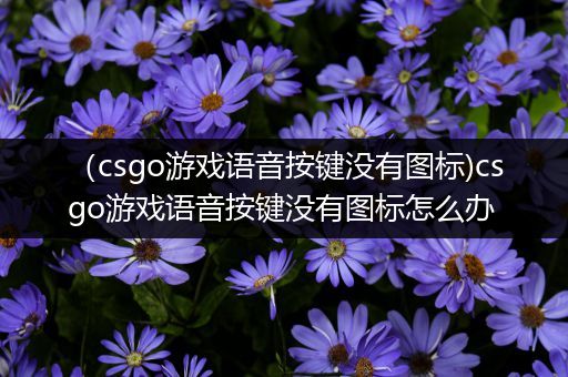 （csgo游戏语音按键没有图标)csgo游戏语音按键没有图标怎么办