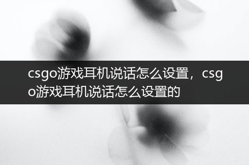 csgo游戏耳机说话怎么设置，csgo游戏耳机说话怎么设置的