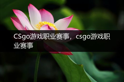CSgo游戏职业赛事，csgo游戏职业赛事