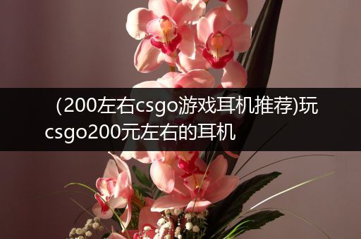 （200左右csgo游戏耳机推荐)玩csgo200元左右的耳机