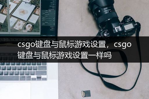 csgo键盘与鼠标游戏设置，csgo键盘与鼠标游戏设置一样吗
