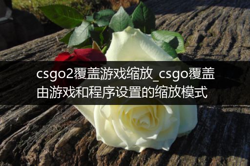 csgo2覆盖游戏缩放_csgo覆盖由游戏和程序设置的缩放模式