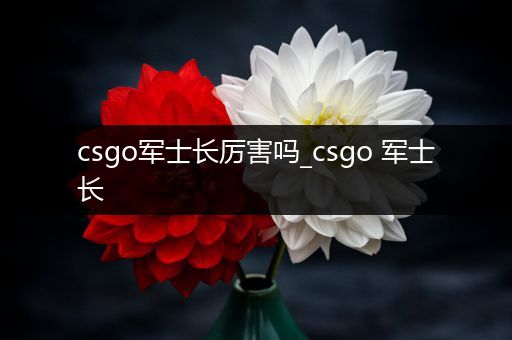 csgo军士长厉害吗_csgo 军士长