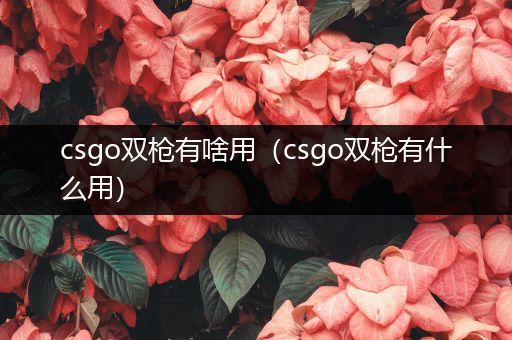 csgo双枪有啥用（csgo双枪有什么用）