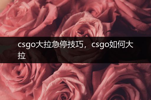 csgo大拉急停技巧，csgo如何大拉