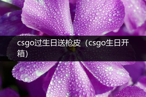 csgo过生日送枪皮（csgo生日开箱）