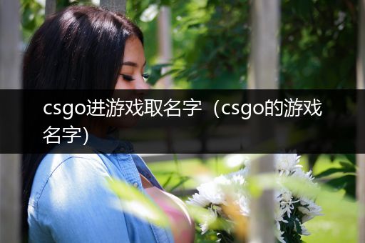 csgo进游戏取名字（csgo的游戏名字）