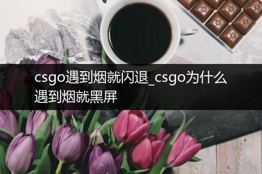 csgo遇到烟就闪退_csgo为什么遇到烟就黑屏