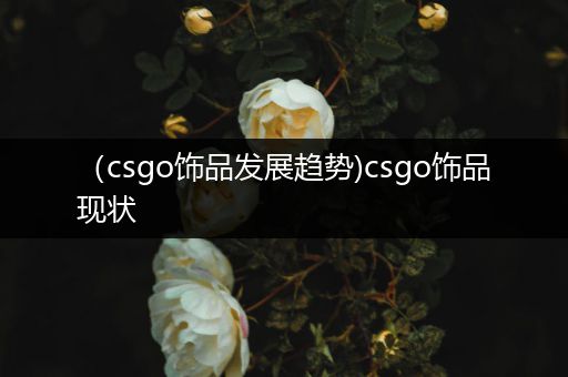 （csgo饰品发展趋势)csgo饰品现状