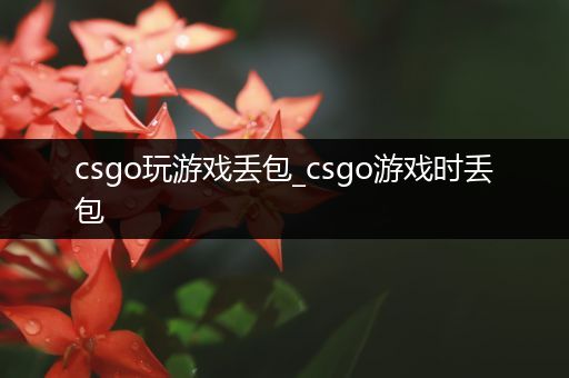 csgo玩游戏丢包_csgo游戏时丢包