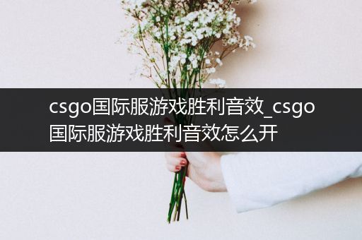 csgo国际服游戏胜利音效_csgo国际服游戏胜利音效怎么开