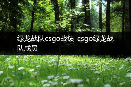 绿龙战队csgo战绩-csgo绿龙战队成员