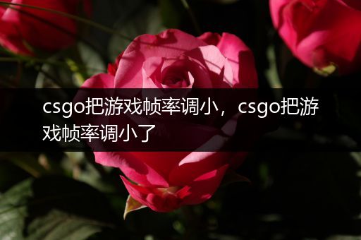 csgo把游戏帧率调小，csgo把游戏帧率调小了