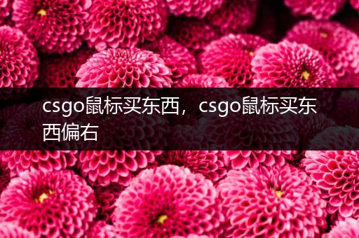 csgo鼠标买东西，csgo鼠标买东西偏右