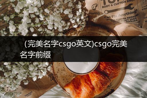 （完美名字csgo英文)csgo完美名字前缀