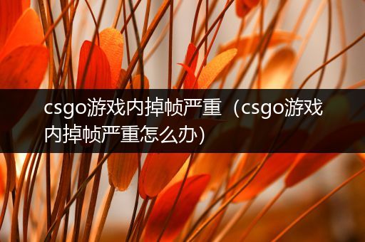 csgo游戏内掉帧严重（csgo游戏内掉帧严重怎么办）