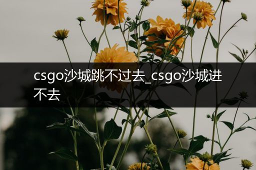 csgo沙城跳不过去_csgo沙城进不去