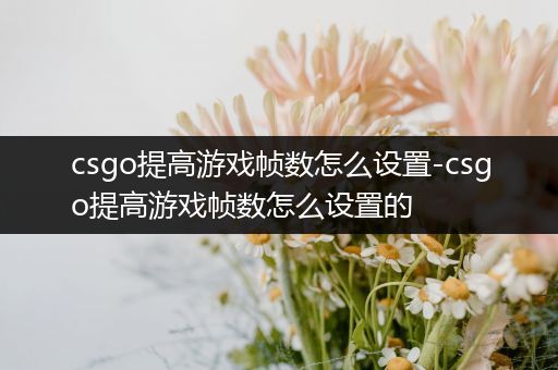 csgo提高游戏帧数怎么设置-csgo提高游戏帧数怎么设置的