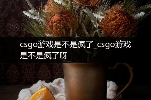 csgo游戏是不是疯了_csgo游戏是不是疯了呀