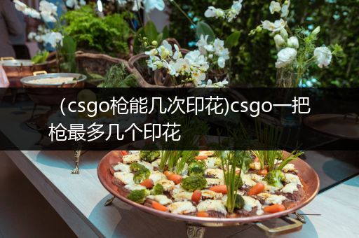 （csgo枪能几次印花)csgo一把枪最多几个印花