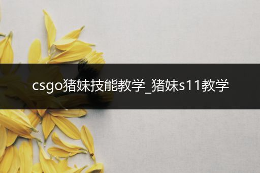 csgo猪妹技能教学_猪妹s11教学