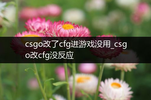 csgo改了cfg进游戏没用_csgo改cfg没反应
