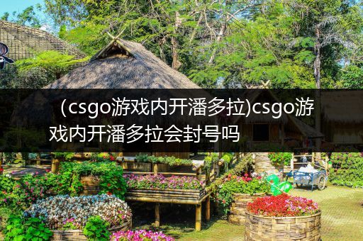 （csgo游戏内开潘多拉)csgo游戏内开潘多拉会封号吗